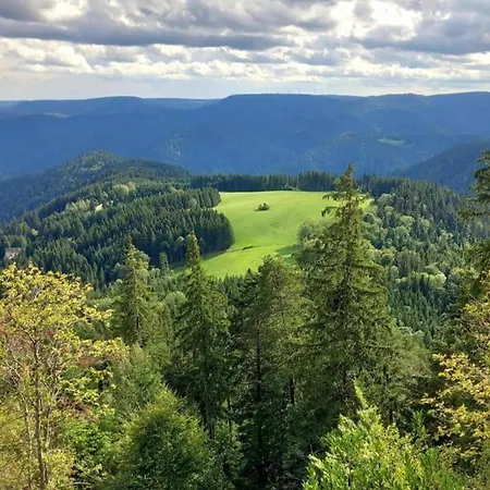 Quaint With Private Terrace Garden * Schiltach