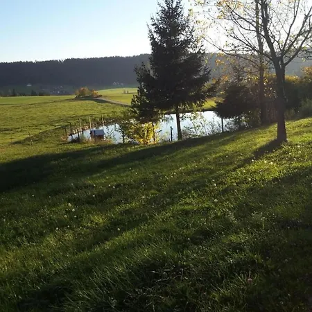 Quaint With Private Terrace Garden Schiltach