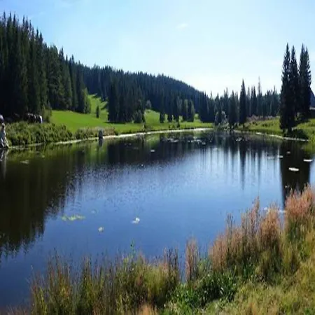 Apartamento In Schiltach