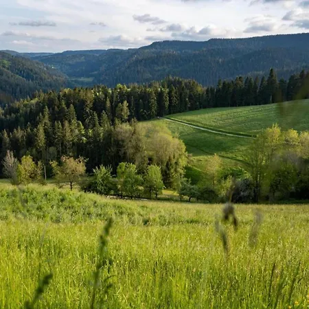 Apartamento In Schiltach